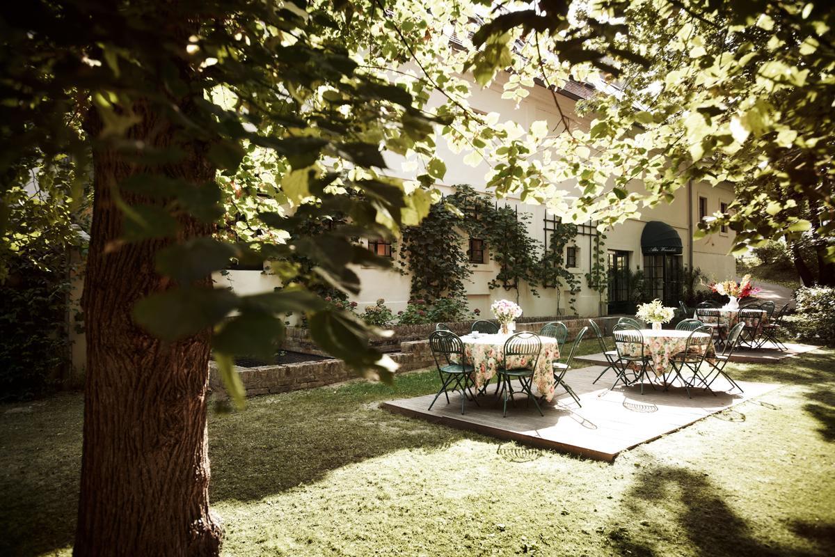 Alter Winzerkeller Bed & Breakfast Kirchberg am Wagram Dış mekan fotoğraf